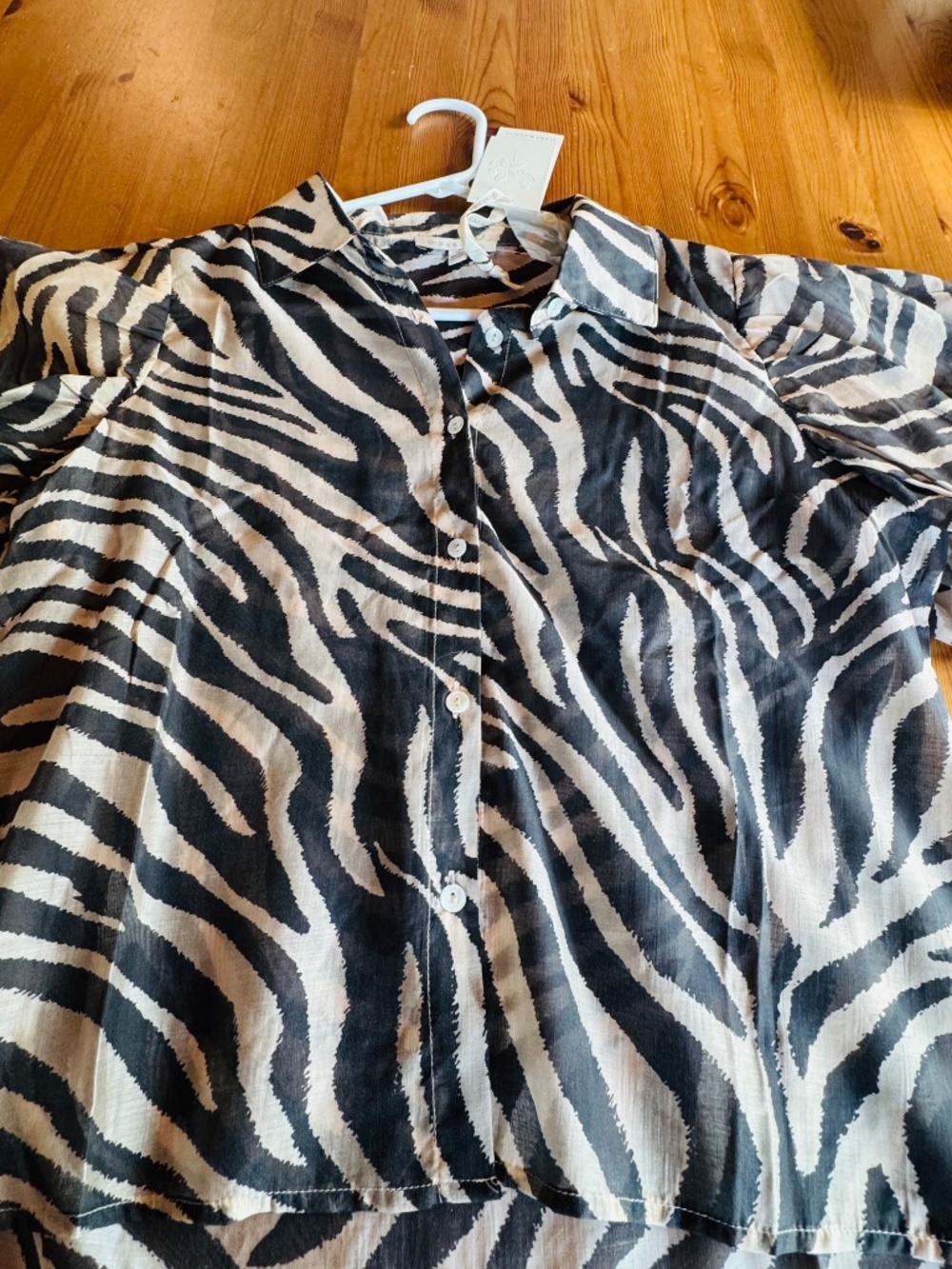Zebra ISH - Picture 3 of 5